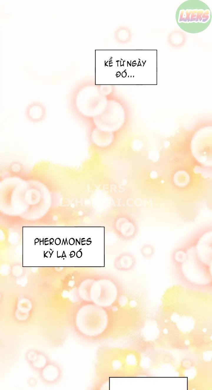Xem ảnh Pheromone Kỳ Diệu - Chapter 53 END - 19 - Hentai24h.Tv